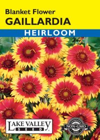 Gaillardia Blanket Flower - Item #51