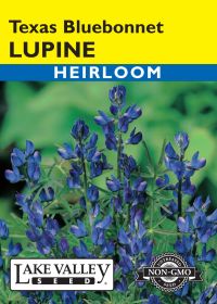 Lupine Texas Bluebonnet - Item #52