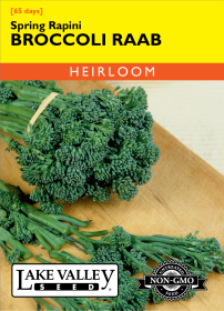 Broccoli Raab Spring Rapini - Item #524