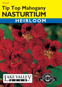Nasturtium Tip Top Mahogany - Item #578