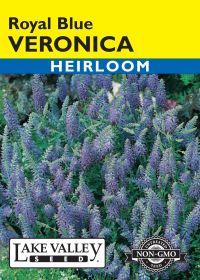 Veronica Royal Blue - Item #606