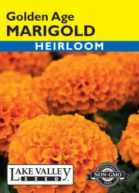 Marigold Golden Age Light Orange - Item #612
