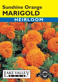 Marigold Sunshine Orange - Item #613