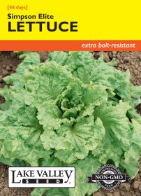 Lettuce Simpson Elite - Item #623
