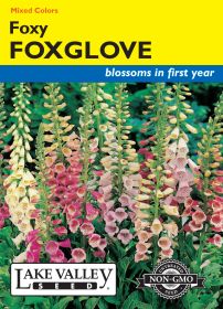 Foxglove Foxy Dwarf Mixed Colors - Item #626