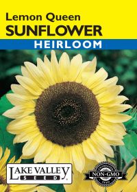 Sunflower Lemon Queen - Item #636