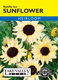 Sunflower Vanilla Ice - Item #638