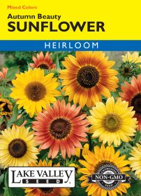 Sunflower Autumn Beauty Mixed Colors - Item #641
