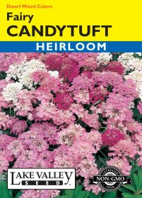Candytuft Fairy Dwarf Mixed Colors - Item #65