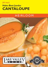Cantaloupe Hales Best Jumbo - Item #66