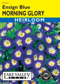 Morning Glory Ensign Blue - Item #678