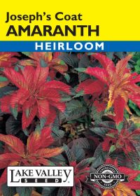 Amaranthus Joseph's Coat - Item #689