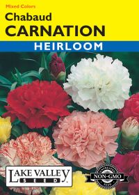 Carnation Chabaud Mixed Colors - Item #69