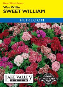 Sweet William Wee Willie Mixed Colors - Item #690