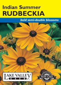 Rudbeckia Indian Summer - Item #696