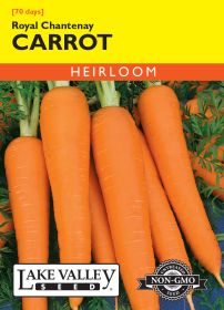 Carrot Royal Chantenay - Item #72