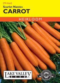 Carrot Scarlet Nantes - Item #73