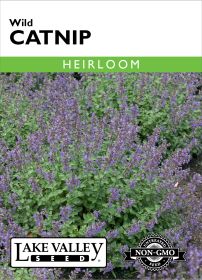 Catnip Wild - Item #76