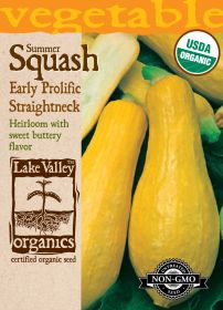 Squash (Summer) Early Prolific Straightneck - Item #892