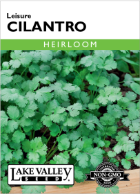 Cilantro Leisure - Item #93