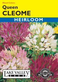 Cleome Queen Mixed Colors - Item #94