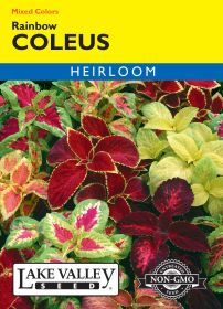 Coleus Rainbow Mixed Colors - Item #95