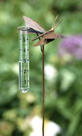 Ancient Graffiti Copper Butterfly Staked Rain Gauge