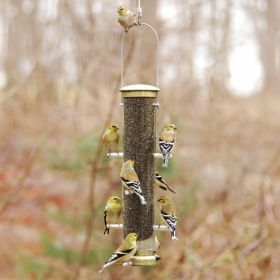 Aspects Thistle Tube Wild Bird Feeder, Medium, Antique Brass