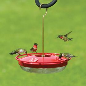 Aspects High View HummZinger Hummingbird Feeder, 12 oz.
