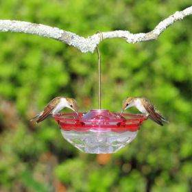 Aspects HummBlossom Hummingbird Feeder, Rose, 4 oz