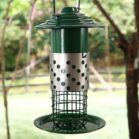 Audubon Mealworm and Peanut Combination Feeder
