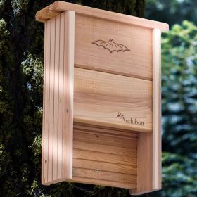 Audubon Cedar Bat Shelter, 20 bats