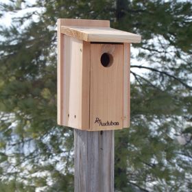 Audubon Cedar Bluebird House