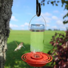 Best-1 Glass Hummingbird Feeder, 16 oz