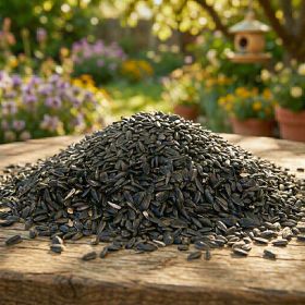 Black Oil Sunflower Seed, 25 lbs