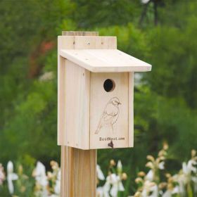 BestNest Seasonal Bluebird House