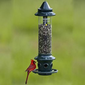 Brome Squirrel Buster Plus Squirrel Proof Bird Feeder