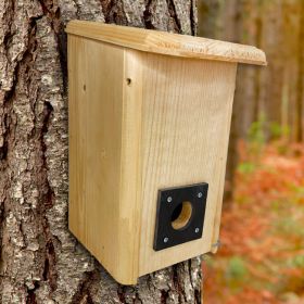 Coveside Small Winter Roost