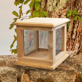 Coveside Butterfly Vivarium