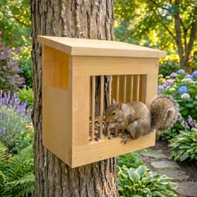 Coveside Pine Squirrel Slammer Feeder