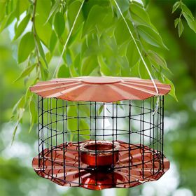 Erva Caged Bluebird Feeder, Copper Colored