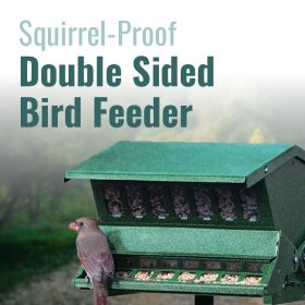 Double Sided Absolute II Bird Feeder with Pole & Hanger